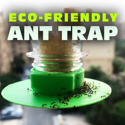 Eco-Friendly Ant Trap ♻️ 🐜