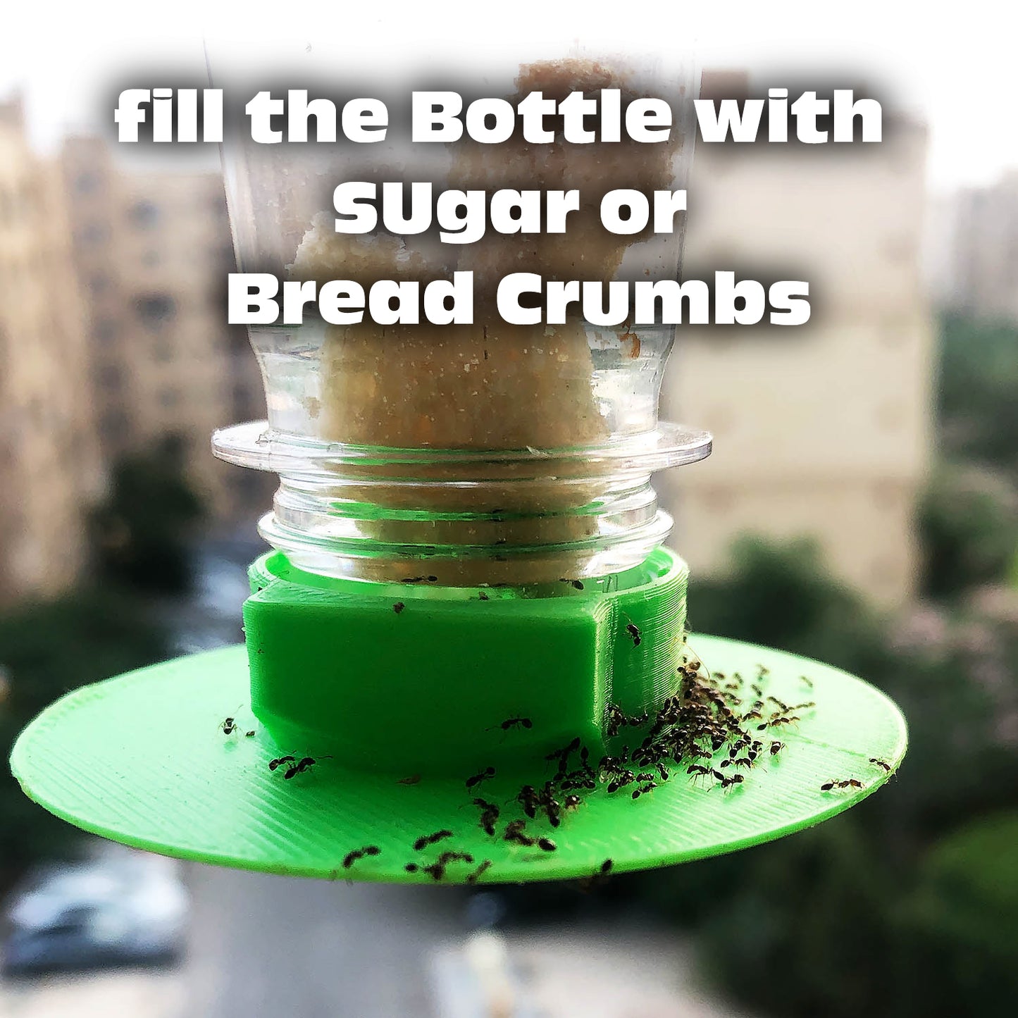 Eco-Friendly Ant Trap ♻️ 🐜