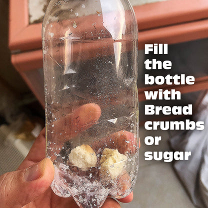 Eco-Friendly Ant Trap ♻️ 🐜