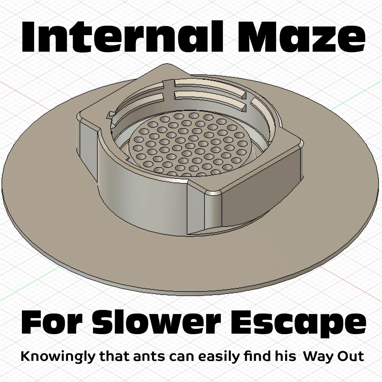 Eco-Friendly Ant Trap ♻️ 🐜