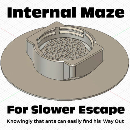 Eco-Friendly Ant Trap ♻️ 🐜