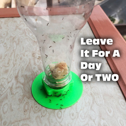Eco-Friendly Ant Trap ♻️ 🐜