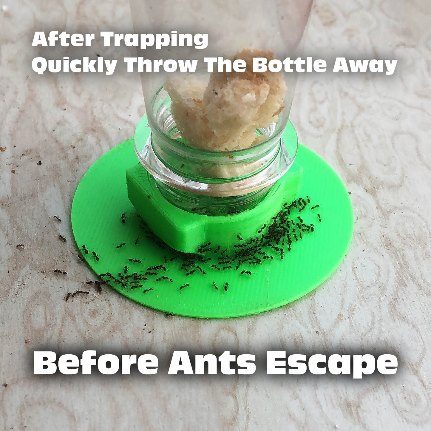 Eco-Friendly Ant Trap ♻️ 🐜