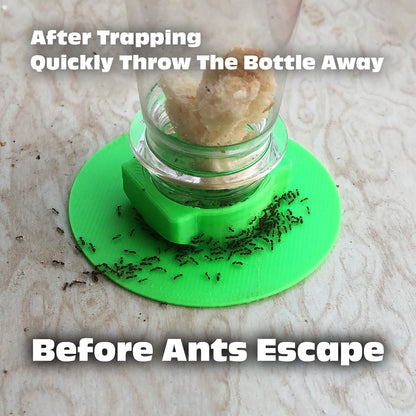 Eco-Friendly Ant Trap ♻️ 🐜